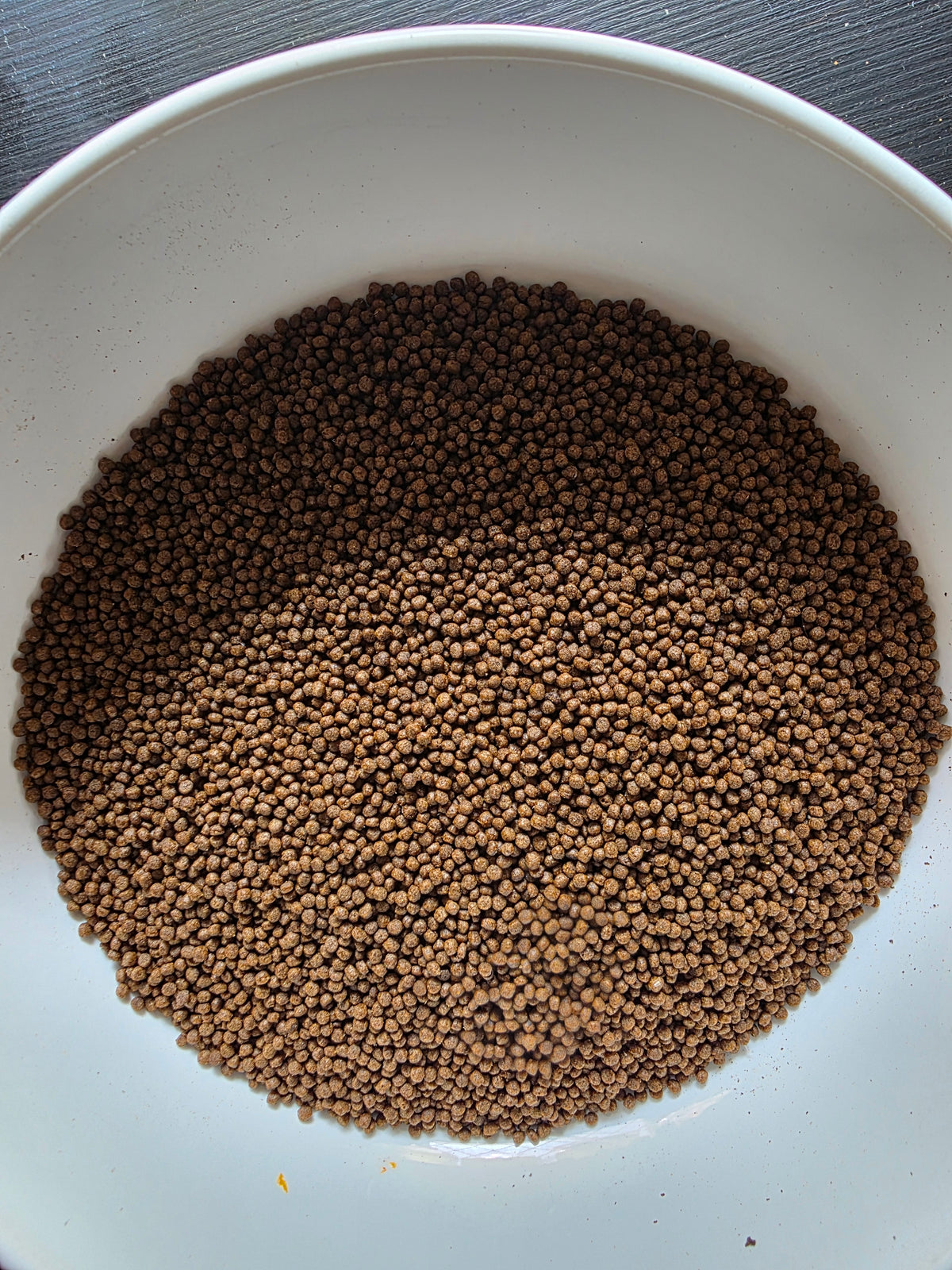 Finlays Fish Feasts - 1mm Premium Blackworm Community Fish Pellets