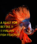 Finlays Fish Feasts - 1mm Blackworm  Floating Pellets For Betta Splendens (Siamese Fighting Fish)