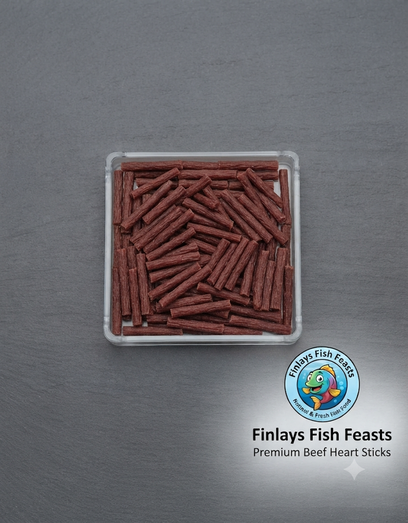 Finlays Fish Feasts - High Protein Beef Heart Sticks Tropical Fish Food Discus Cichlid Betta Diet