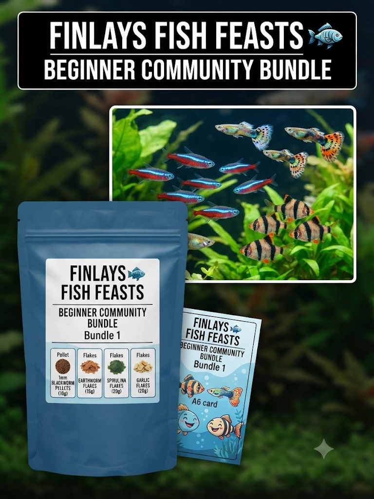 Finlays Fish Feasts - Beginner Community Fish Food Pack Guppies , Tetras, barbs & Small Fish