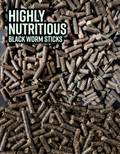 Finlays Fish Feasts -  Blackworm Large Sticks Rare UK Fish Food
